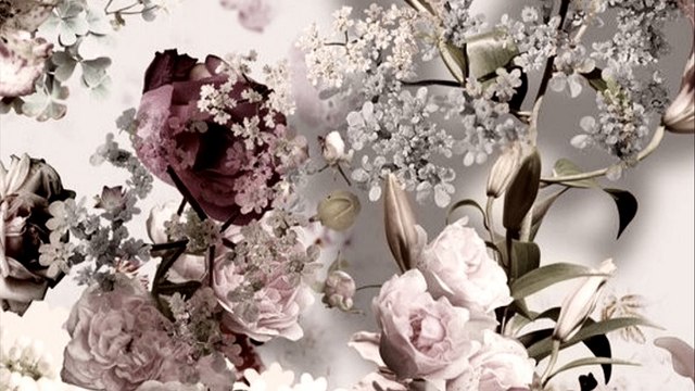 Marguerite - damien Saez