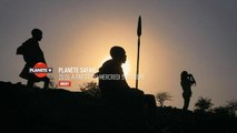 Planète safari - En octobre en exclusivité sur PLANÈTE+