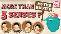 How Many Senses Do We Have? - Myths Busted | The Dr. Binocs Show | Busting The Myth of 5 Senses