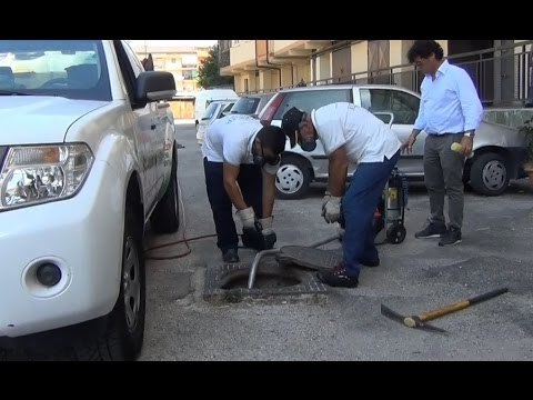 Aversa (CE) - Parte la deblattizzazione su tutto il territorio (12.07.16)