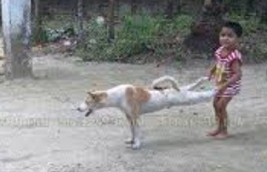 funny boy funny habit