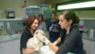 Zoo d'Amnéville : première visite chez le vétérinaire pour les bébés tigres blancs