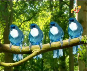 حديقة المرح القطار ينطلق 1