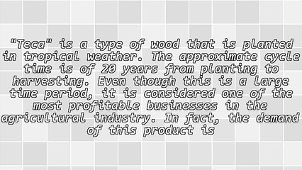 Why Investing in Long-Term Wood Plantations Is a Good Idea