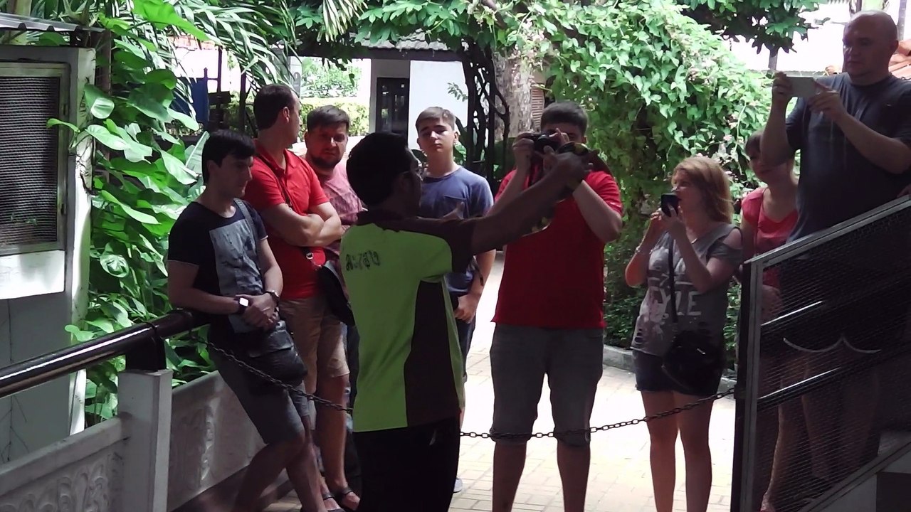 2015 Bangkok Snake Show