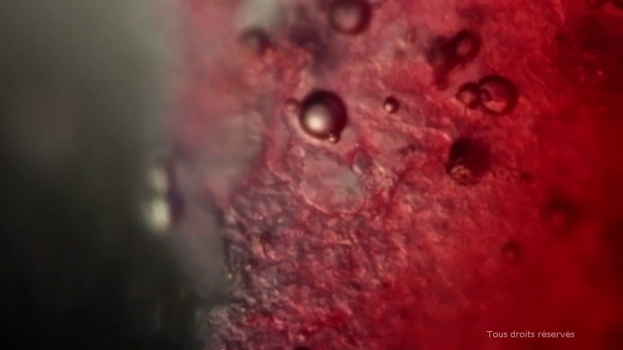 Planete Corps Bande annonce