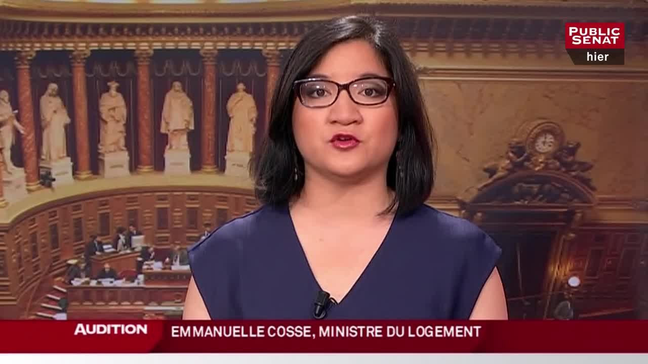 Loi égalité et citoyenneté : Quelles mesures en faveur du logement ? - Les matins du Sénat (13/07/2016)