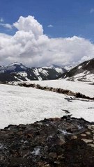 Beautiful View of Naran Noori Top 2016
