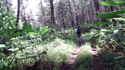 2015 Khao Lak Cycling