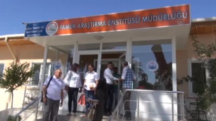 Nazilli'de Kolombiyalılara "Kaliteli Pamuk" Eğitimi