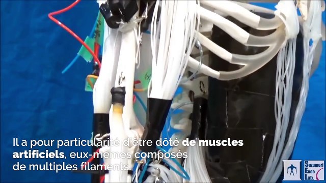 Ce robot constitué de muscles artificiels reproduit à l’identique les mouvements du corps humain