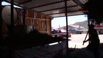 Burdur Lisinia'da Kekikten Yağ Üretimine Başlandı