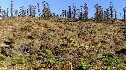 Walking With Dinosaurs - Ep 1 | New Blood