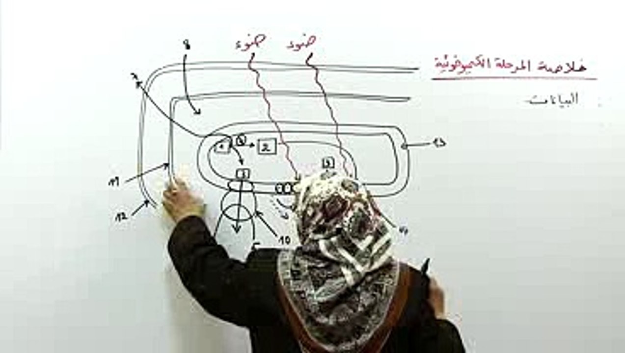 تسلسل تفاعلات المرحلة الكيميوضوئية 4