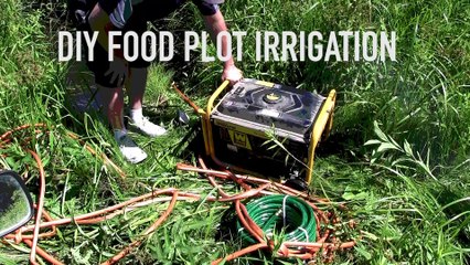 Food Plots: A DIY Irrigation System
