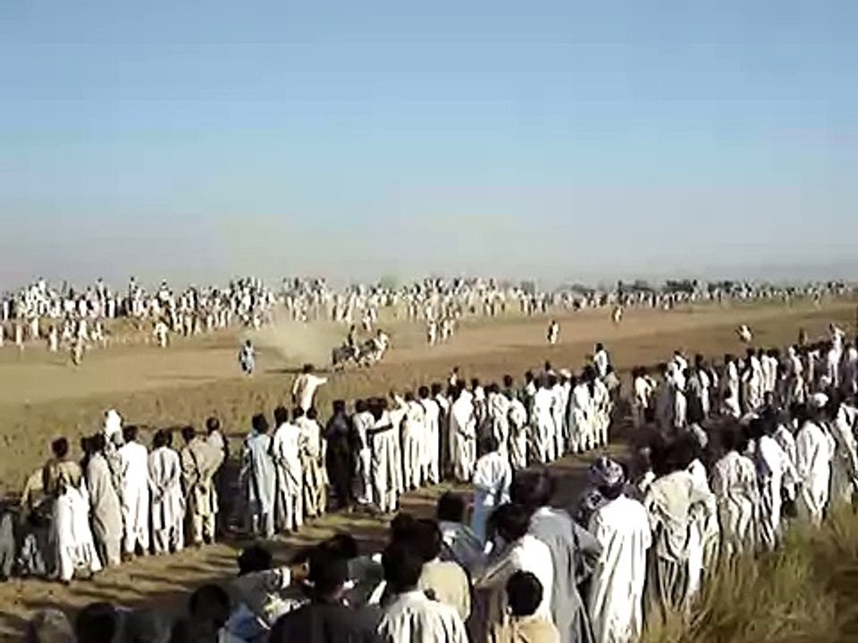 Bull Race in Pakistan October 28, 2007