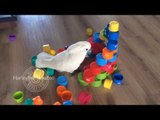 Cockatoo Destroys Castle Made of Plastic Cups