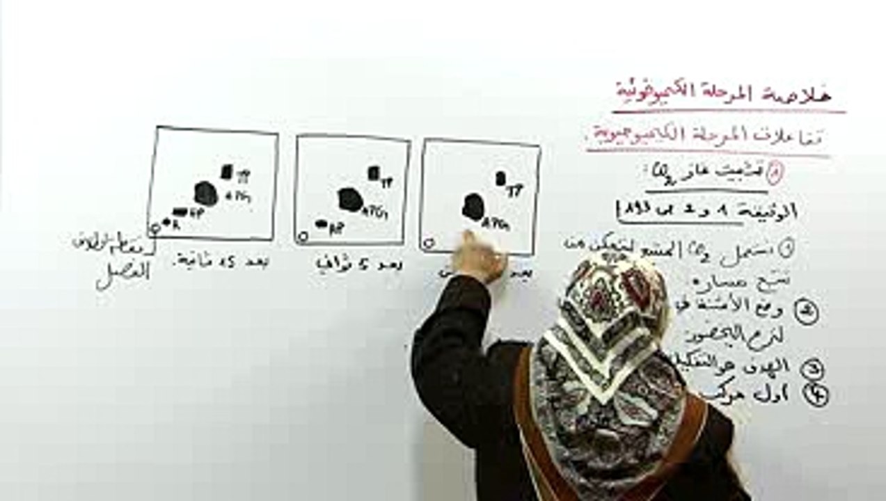 تفاعلات المرحلة الكيميوحيوية 1
