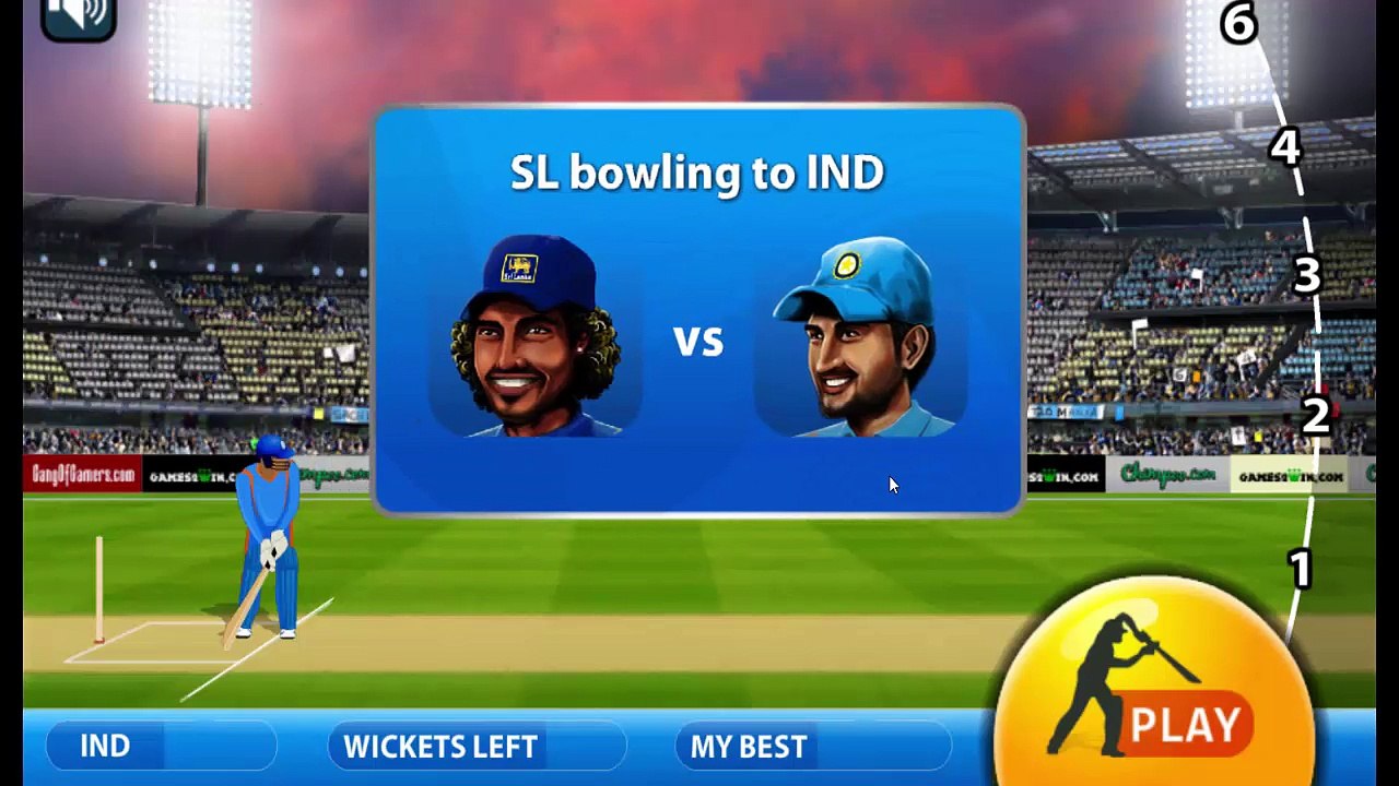 kursi cricket