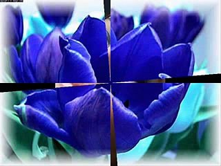 Afghan Mast Songs Collection