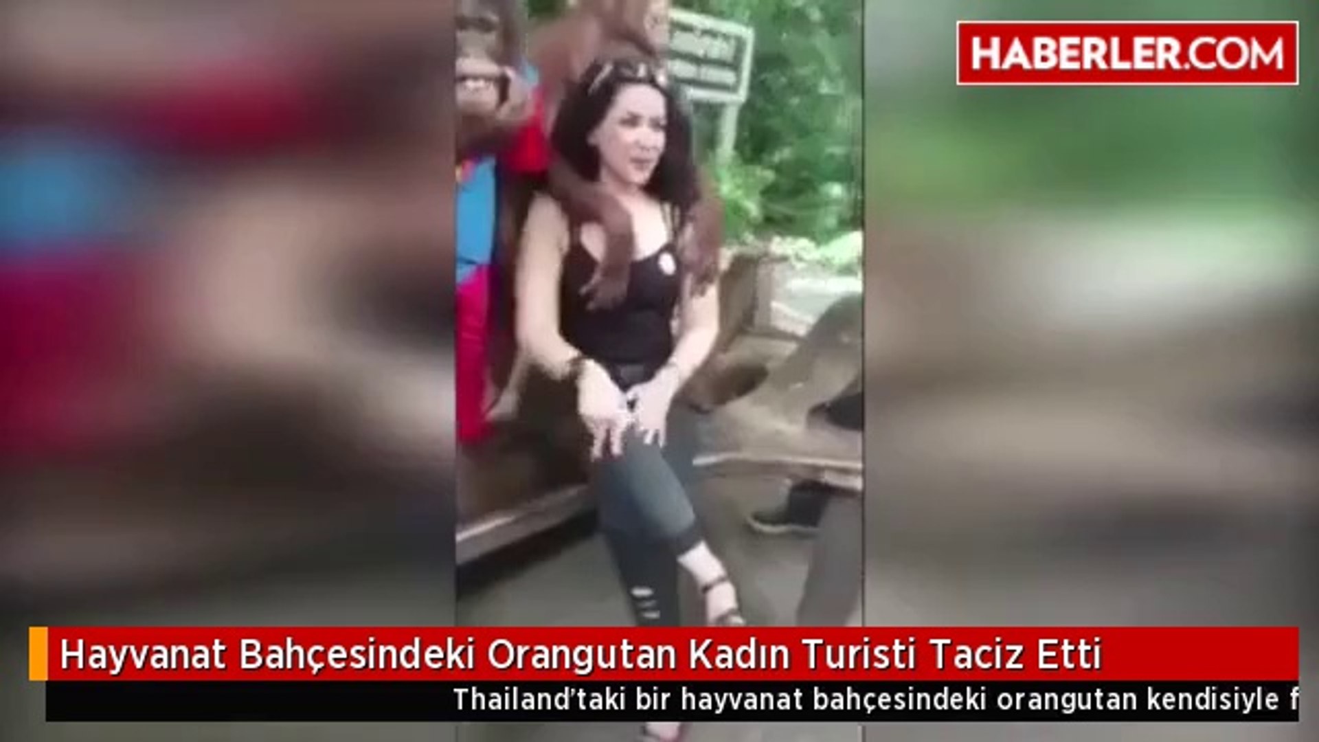 ankaralı namık tan