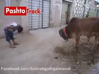 Pakistani Kids Funny Clips Pashtotrack