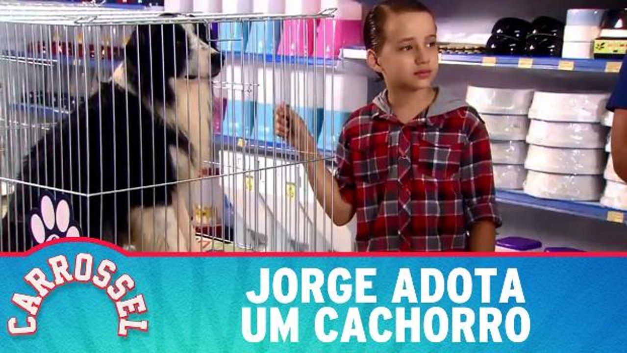 Jorge adota um cachorro