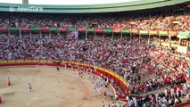 Bulls and runners enter arena during San Fermin festival