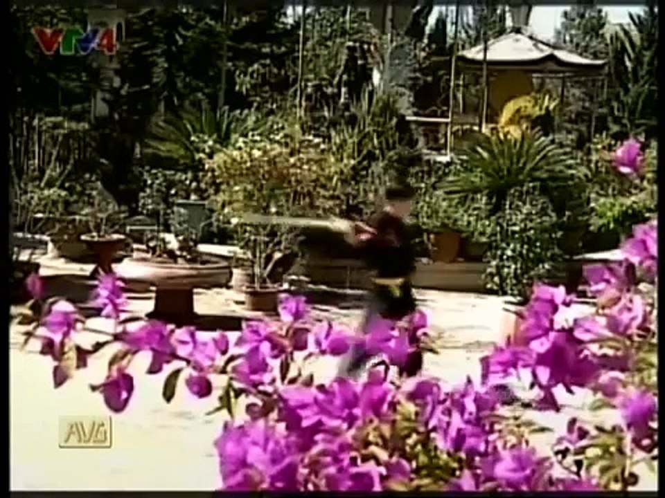 Võ Cổ Truyền Trên Đất Hoa Phần 1