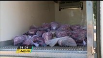 Polícia apreende quase 300 quilos de carne clandestina no Distrito Federal