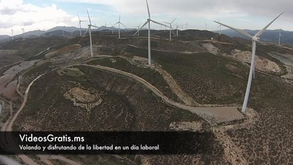 Un drone para salir de la rutina diaria de videosgratis.ms
