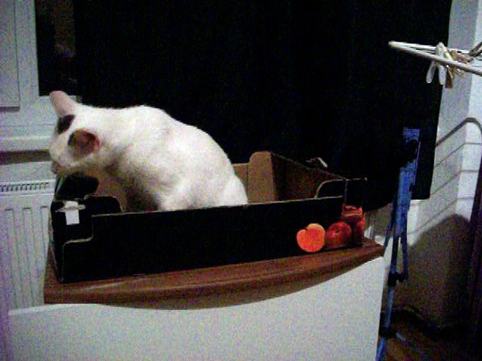 Harvey am 13.07.2016