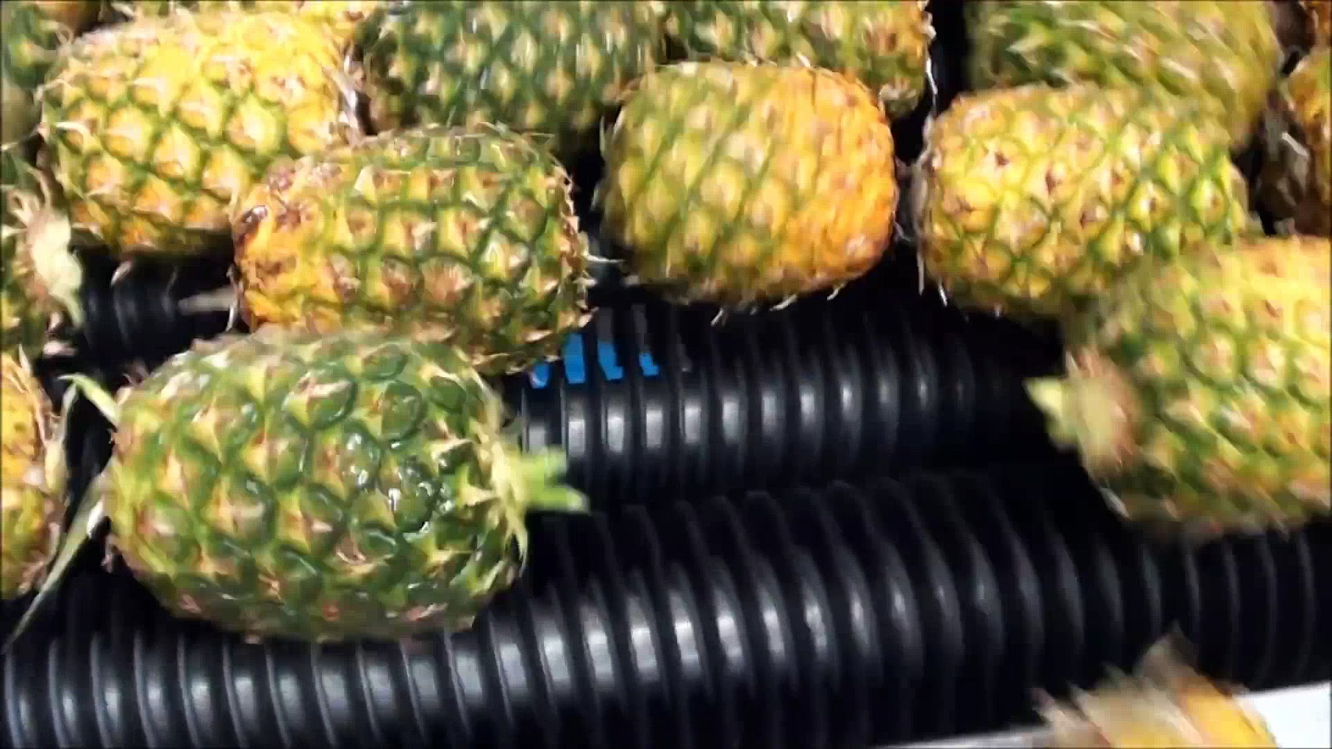 Comment est fait le jus d'ananas ? - Vidéo Dailymotion