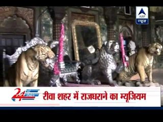 Rewa: Huge theft at a museum in a royal family, guard killed