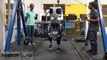 Desarrollan un robot puede caminar igual que un ser humano