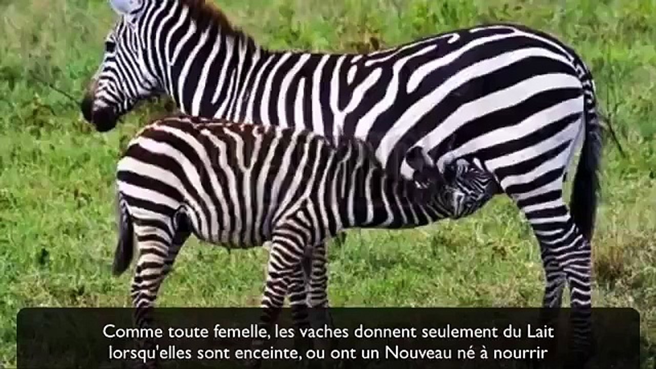 S'il vous plaît, prenez le temps de temps et comprenez qu'il nous faut changer....