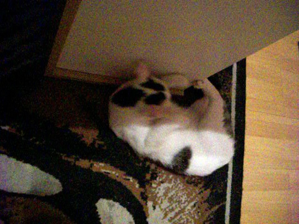 Vinzent am 13.07.2016