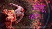 Monalisa Bhojpuri Kavan Jaadu Kailu song Bhojpuri Lyrics Video - Vikrant & Monalisa - Premleela - YouTube
