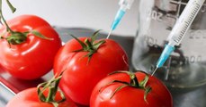Não queres alimentos geneticamente modificados na tua mesa? Aprende a identificá-los!