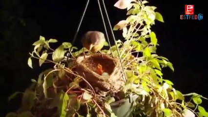 أروع مقاطع الفيديو الإسلامية ! هو الله - ESTFED