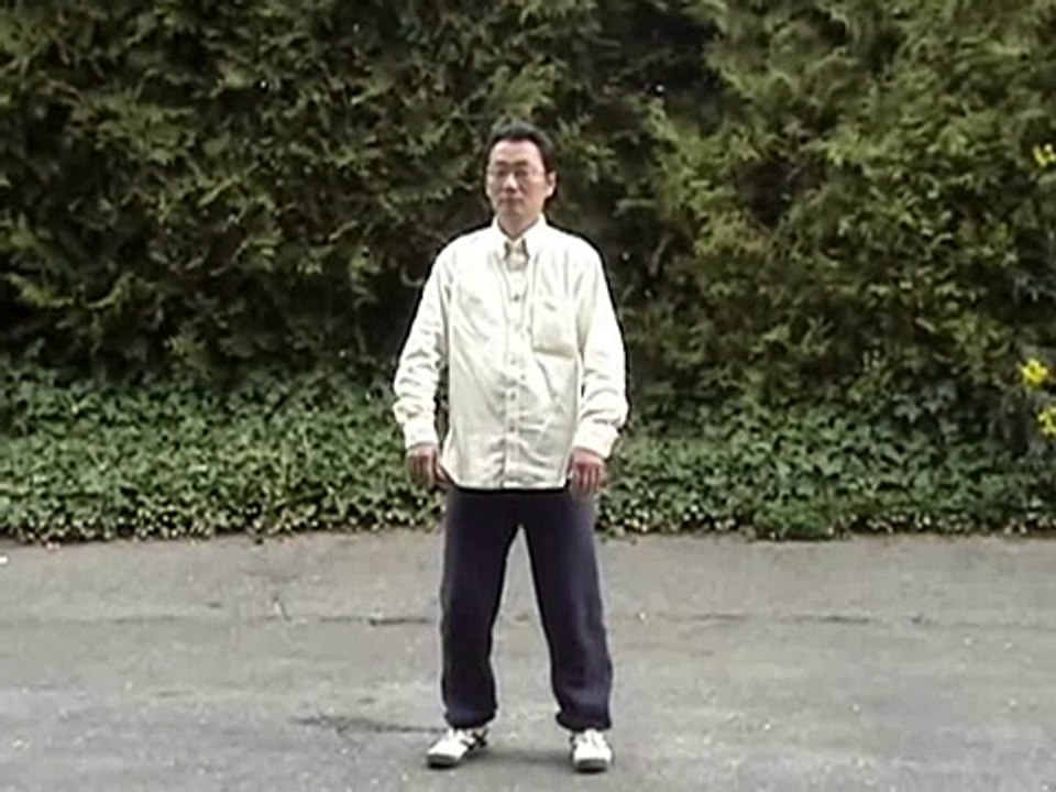 Tai Chi Yang Traditional Simplified 24 Form