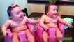 Funny Twin Babies Laughing So Cute ✪ Best Funny Kids Videos