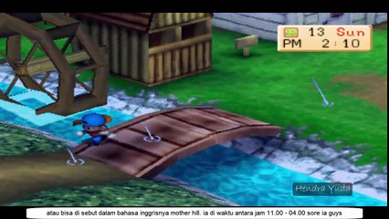 harvest moon back to nature - mystic berry