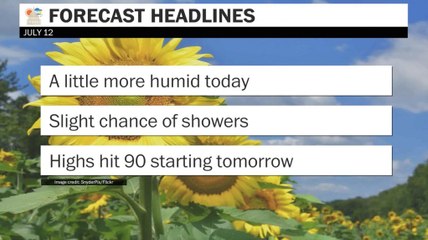 A little more humid today