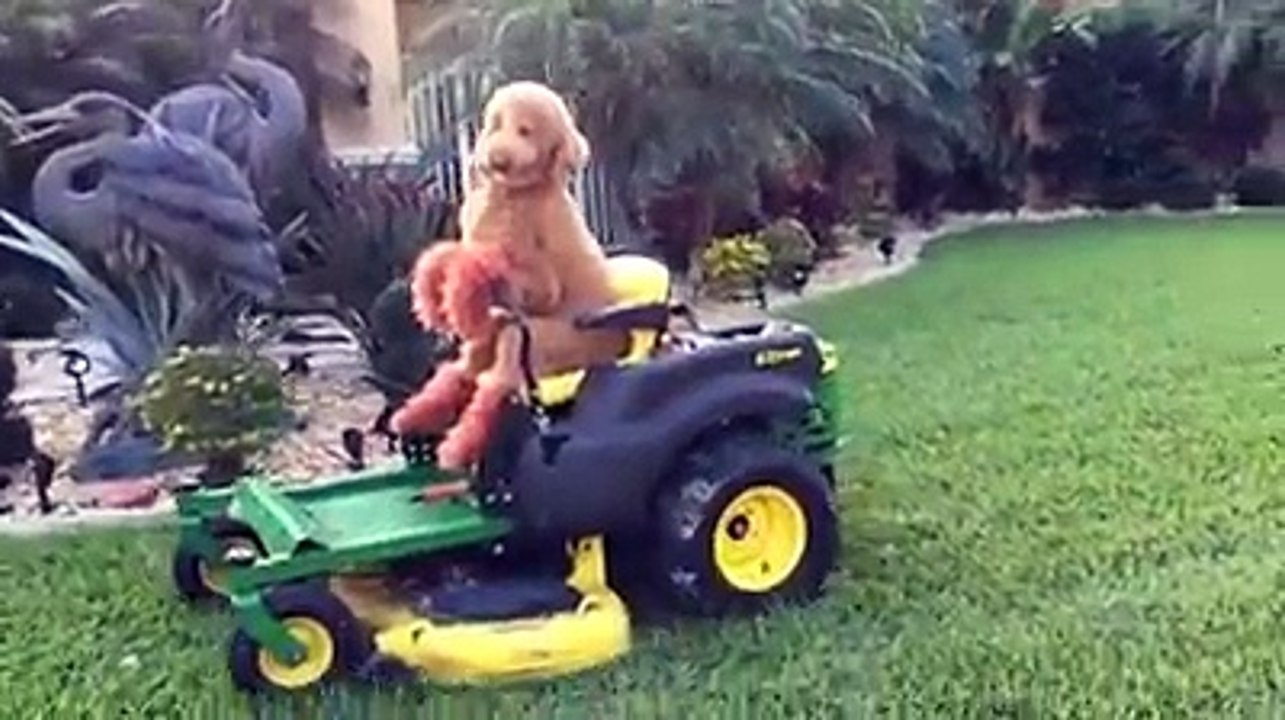 Notre vie est un voyage constant, de la naissance à la mort. Le paysage change, les gens changent, les besoins se transf