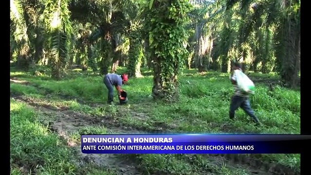 Denuncian a Honduras ente comisión interamericana de derechos humanos