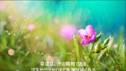 長谷川桜子（慣らし保育アドバイザー）～子どもに読み聞かせたい言葉「レイ・クロック」