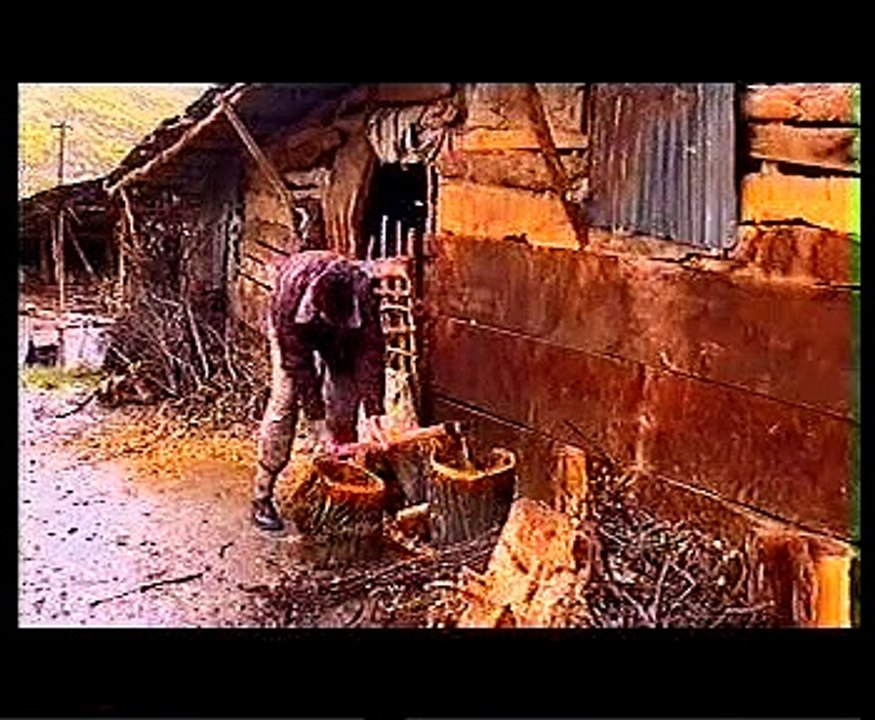 giresun çamoluk kutluca köyü 2004 vidyo görüntüleri 19