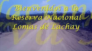 LOMAS DE LACHAY OA-29