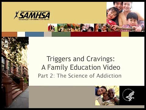 Triggers and Cravings (Part 2): The Science of Addiction
